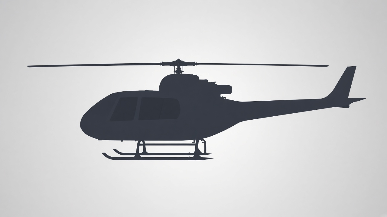 Силуэт: Robinson R66